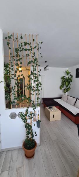 Green Residence 43